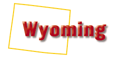 Your State
